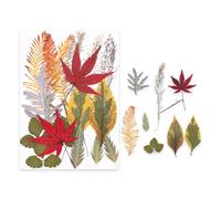 Pocoiau Ensemble de Fournitures Florales pressées de qualité supérieure, séchées Couleurs Vives pour moules en résine, Nail Art et Fabrication de Cadeaux créatifs, Marque-Pages de Fleurs pressées