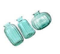 Pocoiau Lot de 3 vases nervurés en verre transparent - Design contemporain - Arrangements floraux - Améliore l'espace intérieur - Vases en verre contemporain