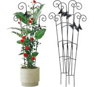 Pocoiau Piquet en métal pour plantes grimpantes - Support intérieur et extérieur - En métal pour escalade - Maison intérieure pour jardin - Support de plantes d'intérieur