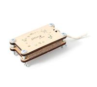 Pocoiau Tampon de pressage de plantes en bois naturel pour enfants - Outil d'artisanat avec matériaux sûrs - Collecteur de botaniques pour enfants - Presse à fleurs - Projet d'artisanat