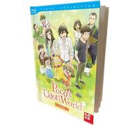 Poco's Udon World-L'intégrale [Édition Collector]