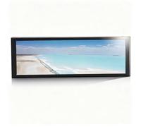 PODSJD Écran Tactile TFT 7,9 Pouces LCD Portable, Moniteur Secondaire Pc 400x1280 IPS 60Hz - Vitre Trempée 6H, Multi-Touch sans Pilote, Compatible Windows 10