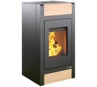 Poêle à granulés Haas & Sohn HSP 2.stone 8,6 kW Revêtement en acier noir, porte en acier