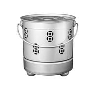 Poêles de combustion d'extérieur, foyer, poêle à brûler, poêle à bois mobile, seau à bois pour brunir le papier, les feuilles, les débris, le bois (argent, 31 cm/12 pouces)