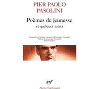 Poèmes de jeunesse et quelques autres Pier Paolo Pasolini (Auteur), Dominique Fernandez (Edité par), Nathalie Castagné (Edité par)