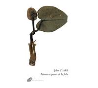 Poèmes Et Proses De La Folie - Suivi De La Psychose De John Clare