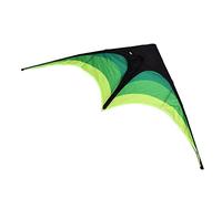 POENVFPO Coux de Tissu Multicolore, 63x31,5 Pouces Kite Triangle Prairie, Résistant aux Intempéries pour Le Plaisir en Famille, Facile à Voler avec Une Queue en Spirale, 1 Cerf-Volant Durable pour