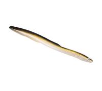 POENVFPO Leurre D'anguille de Pêche en PVC Souple, Appât Artificiel Réaliste D'anguille avec Conception Réfléchissante pour la Pêche en Eau Douce