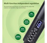 POENVFPO Système de Microphone sans Fil Professionnel, Micro Portable Dynamique avec Transmission 2,4 G, Rechargeable, Contrôle du Volume et de la Réverbération pour karaoké, Mariages, Concerts, (1