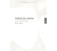 Poésie de l'infini: Novalis et la question esthétique