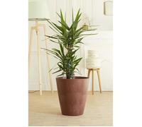 POETIC Pot Material 30 Corten