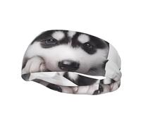 Poezjzw Bandeau de sport à motif chien Husky adapté pour la course à pied, le yoga, la course à pied, le cyclisme