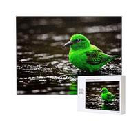 Poezjzw Bluebird Jouant Adulte Puzzle Classique 500 Pièces Puzzle en Bois Moderne Décor Maison Jeu Intellectuel 52 X 38 Cm