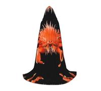POEZJZW Cape à capuche avec motif crabe épineux pour adultes, hommes et femmes, cape de Noël à capuche pour cosplay, costume M