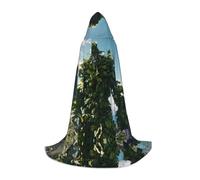 POEZJZW Cape à capuche avec motif de bête de pierre pour adultes, hommes et femmes, capuche de Noël, costume de cosplay, taille S