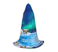 POEZJZW Cape avec capuche pour adulte motif ours polaire aurore boréale Renaissance Halloween Costume de sorcière Taille S