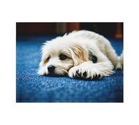 POEZJZW Couverture en flanelle à motif de chiot - 203,2 x 152,4 cm - Pour canapé, lit, soirée cinéma, camping et voyage