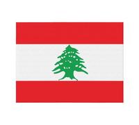 POEZJZW Couverture en flanelle à motif drapeau du Liban 152,4 x 127 cm pour canapé, canapé, soirée cinéma, camping et voyage