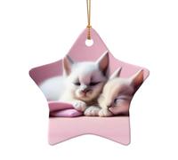 Poezjzw Décoration de Noël en céramique avec deux chatons endormis en forme d'étoile à suspendre, cadeaux pour les vacances de Noël, ornements pour décoration d'intérieur