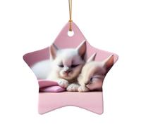 Poezjzw Décoration de Noël en céramique avec deux chatons endormis en forme d'étoile à suspendre, cadeaux pour les vacances de Noël, ornements pour décoration d'intérieur