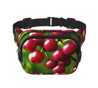 Poezjzw Hawthorn Sac banane de voyage adapté pour la course à pied, le cyclisme et les aventures en plein air, pour ranger des téléphones portables et des cartes de crédit, noir, One Size