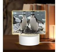 POEZJZW Jolie veilleuse rectangulaire en acrylique avec interrupteur tactile pour étagères, bureaux, tables de chevet