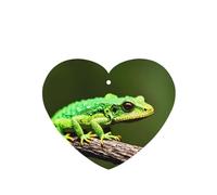 Poezjzw Little Green Lizard Lot de 4 désodorisants pour voiture en forme de cœur à suspendre pour chambre à coucher, salle de bain