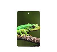 Poezjzw Little Green Lizard Lot de 6 désodorisants rectangulaires à suspendre pour chambre à coucher, salle de bain