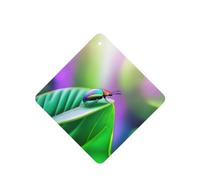 Poezjzw Lot de 4 désodorisants carrés à suspendre pour voiture Motif insectes sur feuille