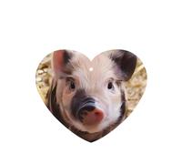 Poezjzw Lot de 4 désodorisants de voiture en forme de cœur parfum lavande Motif cochon mignon Pour armoire à chaussures