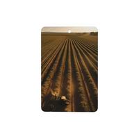 Poezjzw Lot de 4 désodorisants rectangulaires pour voiture Parfum lavande Terre d'espoir