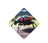 Poezjzw Lot de 6 désodorisants carrés à suspendre pour voiture Motif insectes