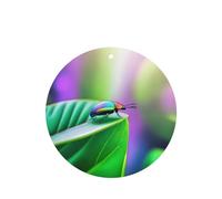 Poezjzw Lot de 6 désodorisants de voiture à motif d'insectes sur feuille - Forme ronde - À suspendre - Pour chambre à coucher, salle de bain