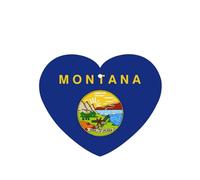 Poezjzw Lot de 6 désodorisants de voiture en forme de cœur à suspendre - Motif drapeau de l'État du Nebraska - Pour chambre à coucher, salle de bain
