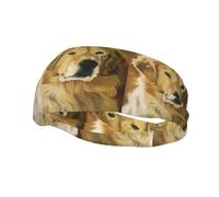 Poezjzw Magnifique bandeau de sport avec motif Golden Retriever, convient pour la course à pied, le yoga, élastique évacuant l'humidité