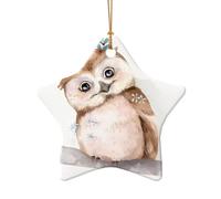 Poezjzw Ornements de sapin de Noël en forme d'étoile en céramique avec motif de chouette avec fleurs, pour famille, Nouvel An, maison, souvenirs pour rassemblements