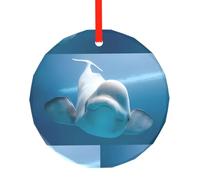 Poezjzw Ornements ronds en verre avec motif baleine mignon à suspendre pour sapin de Noël, décoration d'intérieur, rassemblements, souvenirs