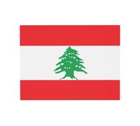 POEZJZW Peinture murale drapeau du Liban - Décoration d'intérieur - Cadeau pour la famille, un mariage, des amis - 30,5 x 40,6 cm