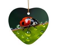 Poezjzw Pendentif de Noël en céramique en forme de cœur à sept étoiles, motif coccinelle, convient pour la maison, les centres commerciaux et les fêtes de fin d'année