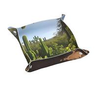 Poezjzw Plateau à bijoux en cuir vert cactus pour table de nuit, bureau, petite assiette de voyage pour clé, portefeuille, montre, pièce de monnaie Taille M