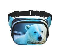 Poezjzw Polar Bear Sac banane de voyage adapté pour la course à pied, le cyclisme et les aventures en plein air, pour ranger des téléphones portables et des cartes de crédit, noir, One Size
