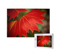 Poezjzw Puzzle classique en bois de 1 000 pièces - Motif feuille d'érable rouge - Décoration d'intérieur moderne - Jeu intellectuel - 75 x 50 cm