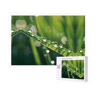 Poezjzw Puzzles A Drop In The Ocean pour adulte - Puzzle en bois de 300 pièces pour la famille et les amis - Décoration murale - 15,7 x 27,9 cm