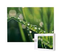 Poezjzw Puzzles A Drop In The Ocean pour adulte - Puzzle en bois de 500 pièces pour la famille et les amis - Décoration murale - 50,4 x 38,1 cm