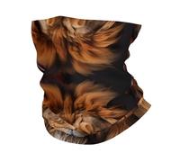 POEZJZW The Lion'S Gaze - Bandana multifonction sans couture avec impression pour le visage