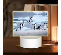 POEZJZW Veilleuse rectangulaire en acrylique avec interrupteur tactile pour étagères, bureaux, tables de chevet