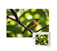 Poezjzw Yellow Bluebird Puzzle Classique Adulte 300 Pièces Puzzle en Bois Moderne Décor Intérieur Jeu intellectuel 40 x 28 cm