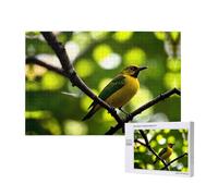 Poezjzw Yellow Bluebird Puzzle classique en bois 1000 pièces Décoration d'intérieur moderne Jeu intellectuel 75 x 50 cm
