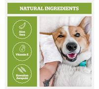 Pogi Travel Size Cleansing Wipes-Herbal Green Tea-Pack Of 240