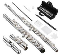 POGOLAB Flûte Traversière, Flûte C à Plateaux Ouverts, Sol Décalé, Mi Mécanique, Flûte en Nickel Plaqué Argent, avec Étui Rigide/Kit de Nettoyage, pour Groupe de Musique Scolaire